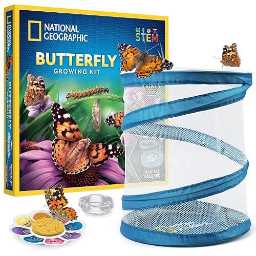 National Geographic Butterfly Growing Kit - Butterfly Habitat Kit with Voucher to Redeem 5 Caterpillars (S&H Not Included), Butterfly Cage, Feeder, Easter Basket Gifts for Kids - Image 1
