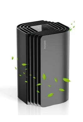WELOV P100 Mini Air Purifier