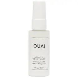 Mini Detangling and Frizz Fighting Leave in Conditioner - Image 1